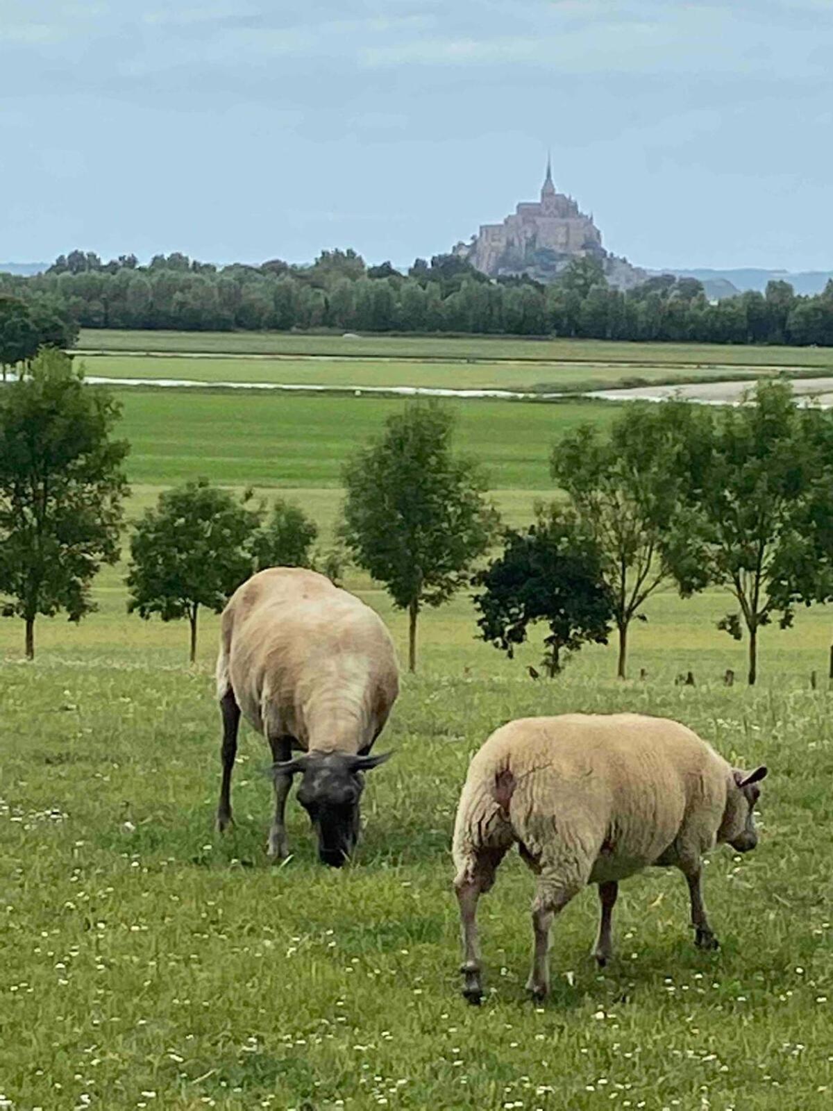 Gites Le Mont Desclos Saint Michel Beauvoir Szoba fotó